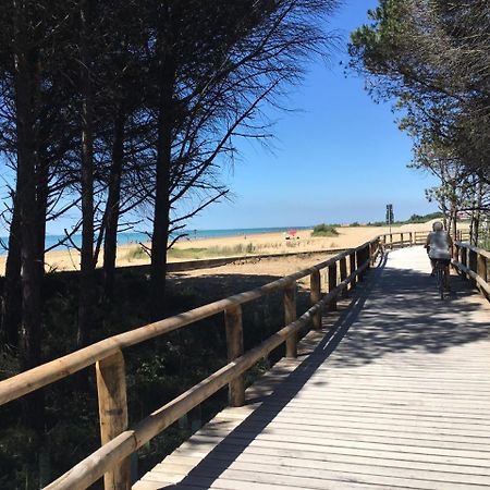 Appartamenti Sirio Via Pesci 6,8,14 Bibione Exterior photo